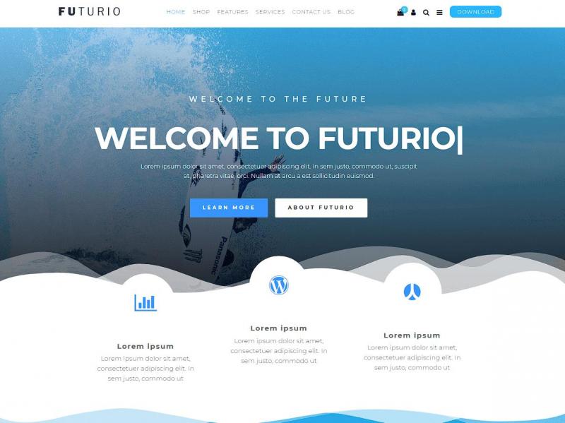 WordPress免费企业网站主题 Futurio