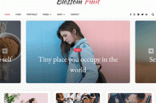 WordPress女性类博客主题 Blossom PinIt