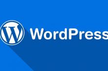 WordPress获取当前文章以及所属分类url别名